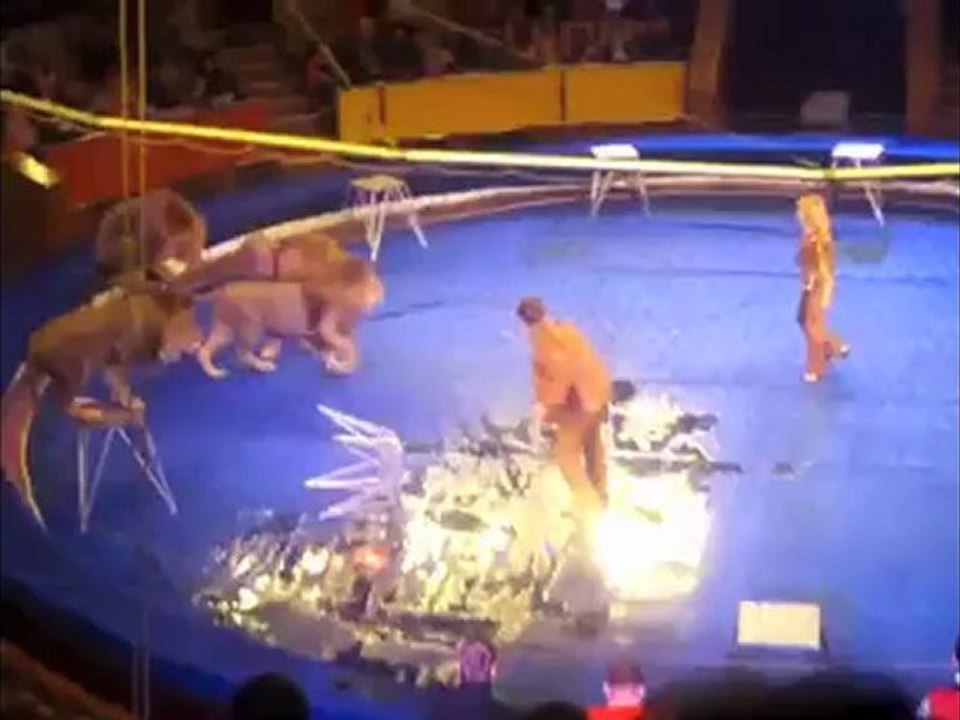 Lion attaque un entraineur au Cirque
