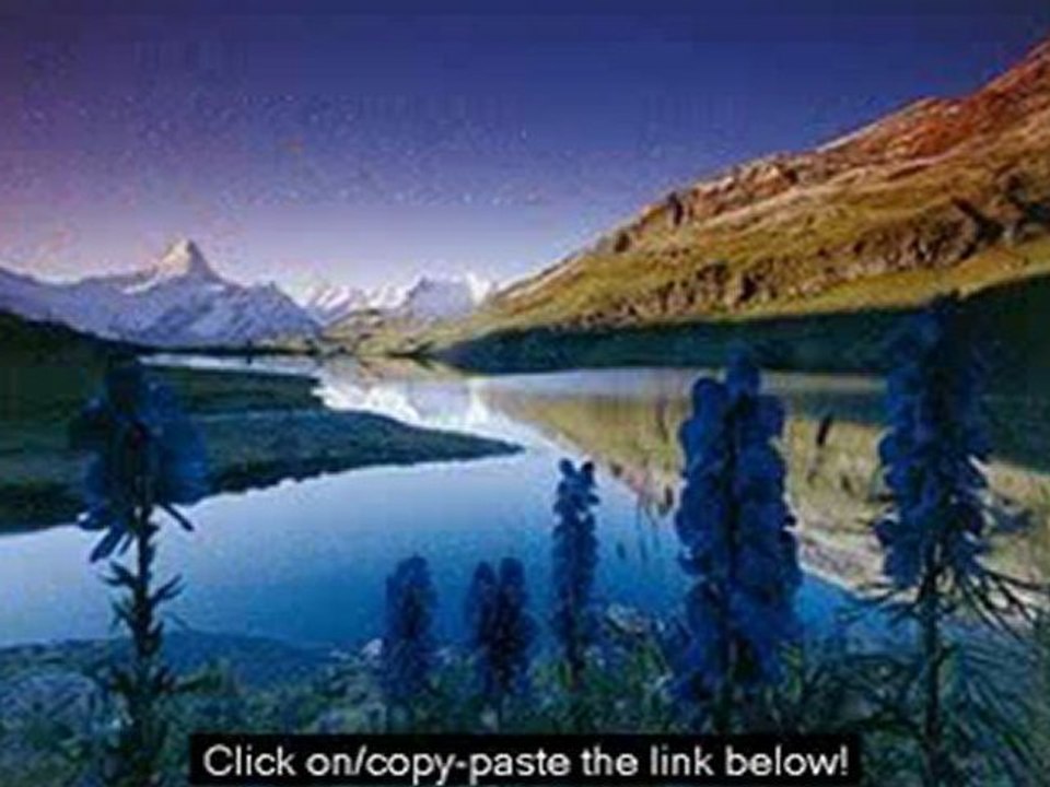 Registry reviver license key