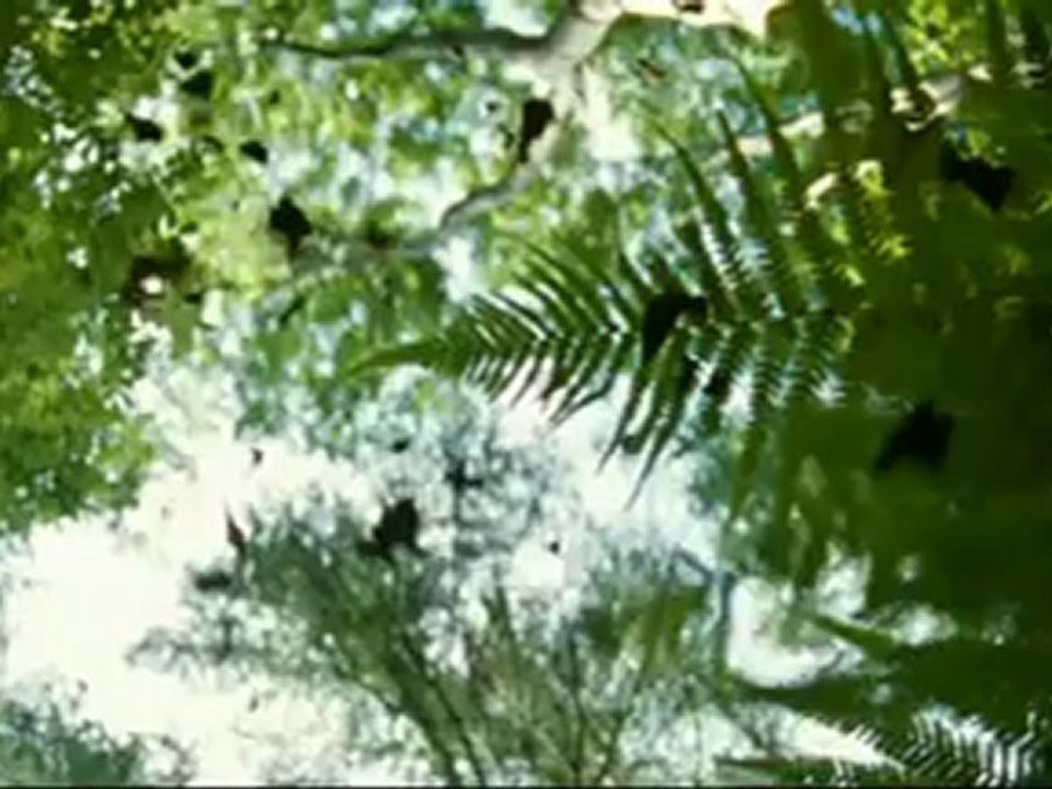 The Last Son la malediction - Bandes-Annonces Vf