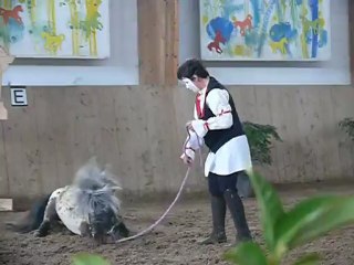 Les Jeudis du Parc à Conty