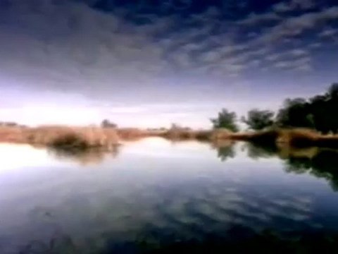 Naat - Seyfullah Kartal