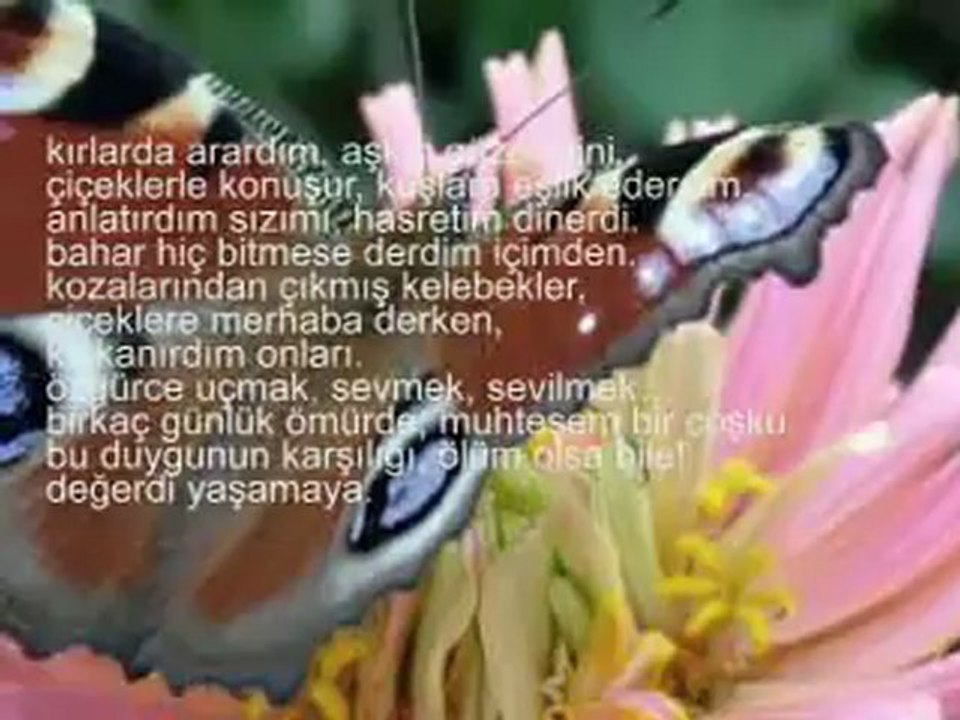 bu gün