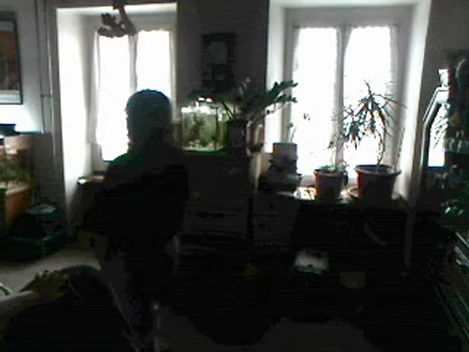 webcam_1336043148650