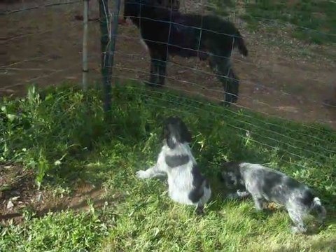 LES BEBES LE 1ER MAI