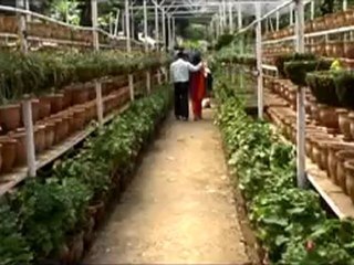 COMPANY GARDEN MUSSOORIE UTTARAKHAND