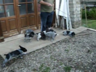 LES BEBES ENTRAINEMENT 1ER MAI