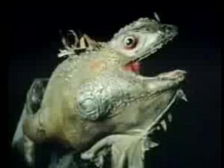 lizard in a woman's skin trailer