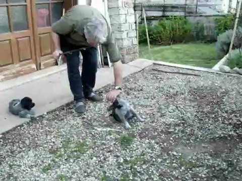 LES BEBES ENTRAINEMENT LE 1ER MAI