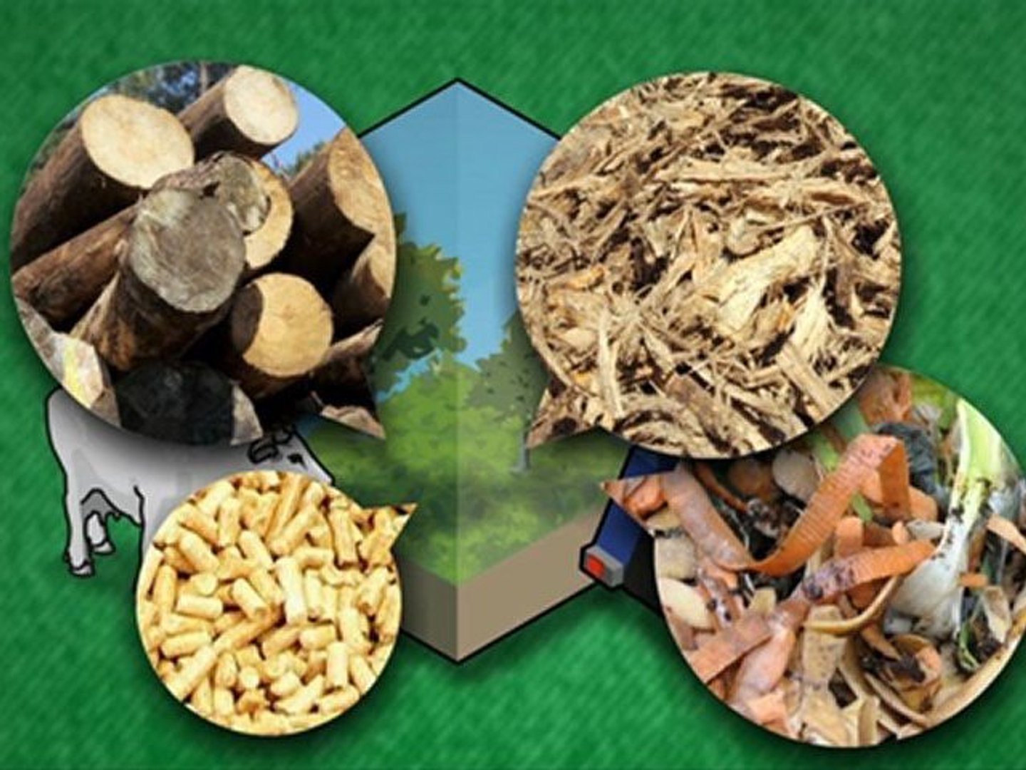 ⁣Biofuels - the Green alternative
