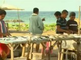 Unemployment threatens East Timor peace  29 Sept 2008