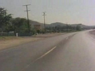 Vandals - Elvis Decanter