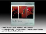 Spazio Tadini video -  Francesco Tadini legge Emilio Tadini, Milano arte