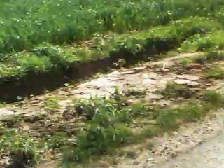 le paysage des environs de lyon(campagne)