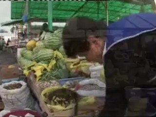 Peace in Nagorno-Karabakh remains elusive - 15 OCT 2008