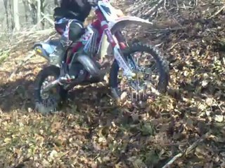 Petite montée dans le bois 3eme