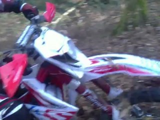 Promenons nous dans les bois...