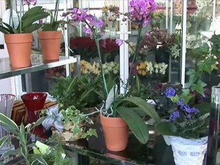 Florist Ottawa Nepean Parkside Florist