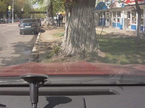 En Russie, le chat joue au passager clandestin