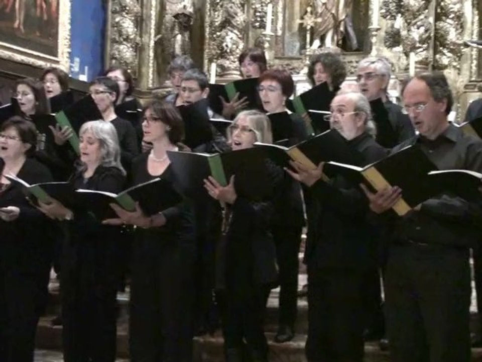 Flor d'olivar