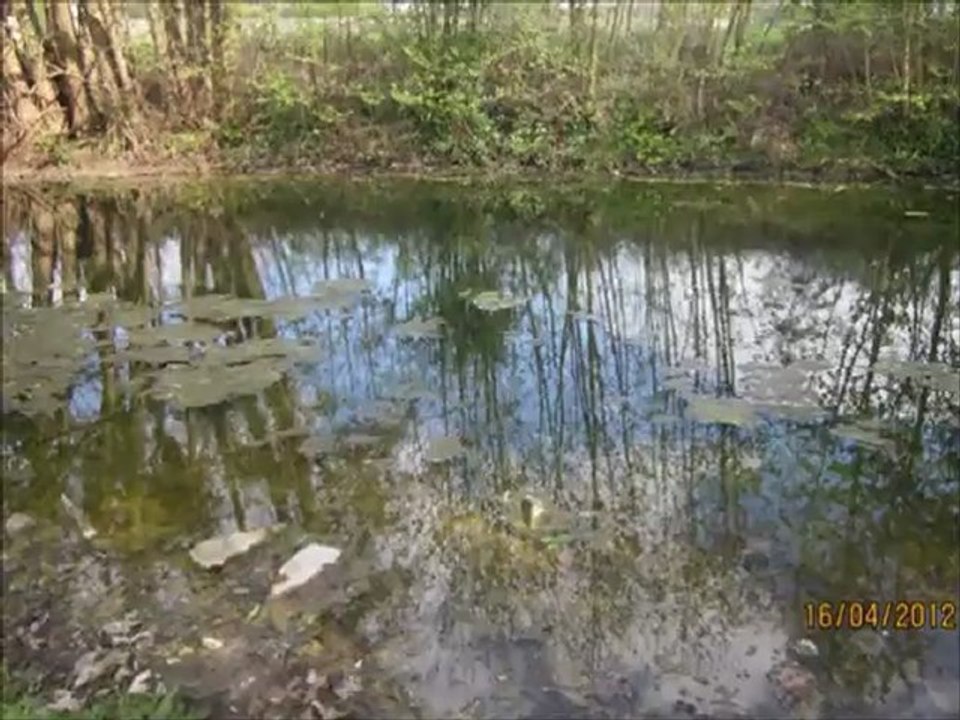 Esprit de l'Eau