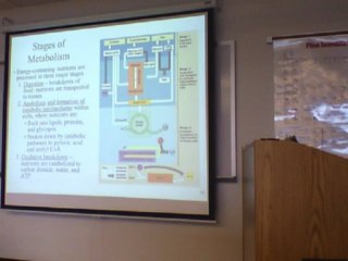 Urinary System 2 Part 1