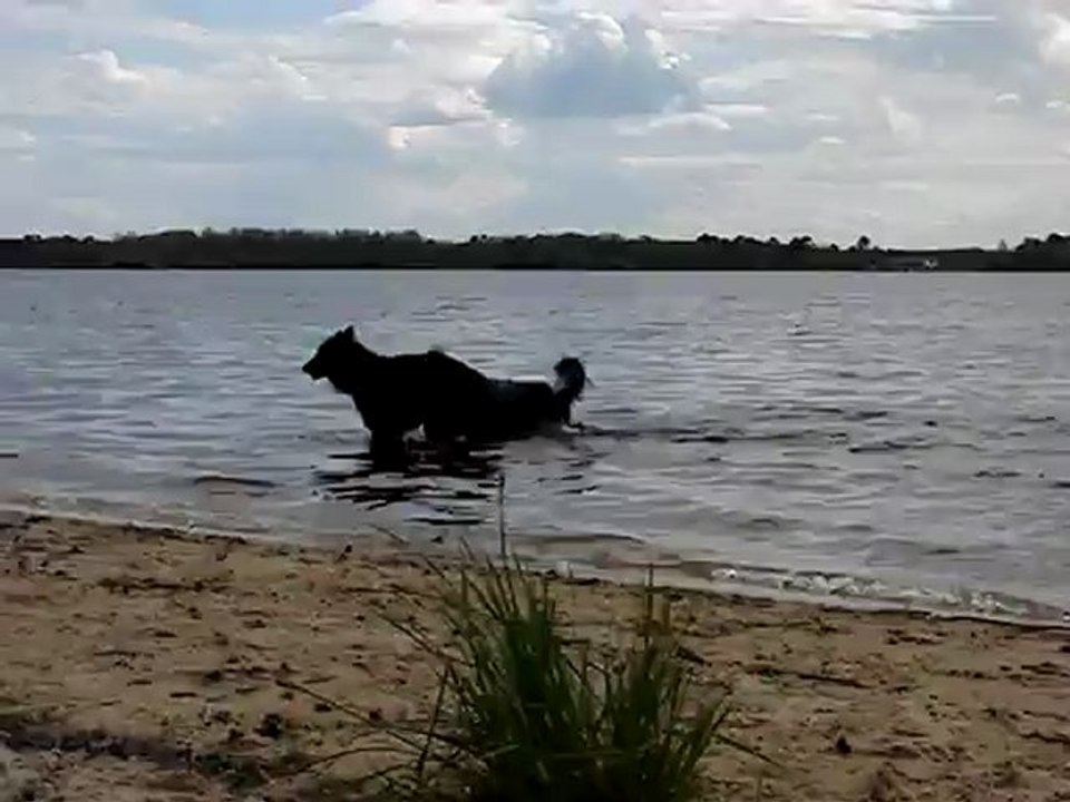 baignade à léon