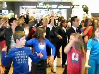 Avia Partner Flashmob 24-03-2012 Brussels airport official compilation video