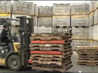 Ingeniería Industrial