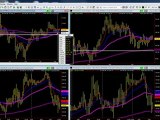 Pro Trader Analyzes Forex, Crude Oil & Stock in Market Video