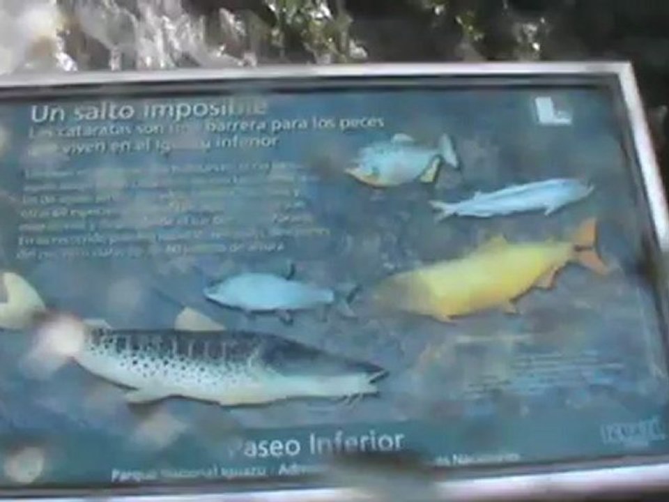 Salto Bossetti Igazu falls