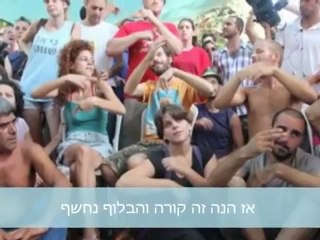 מדינת נוחי ושות- כל יום טייקון