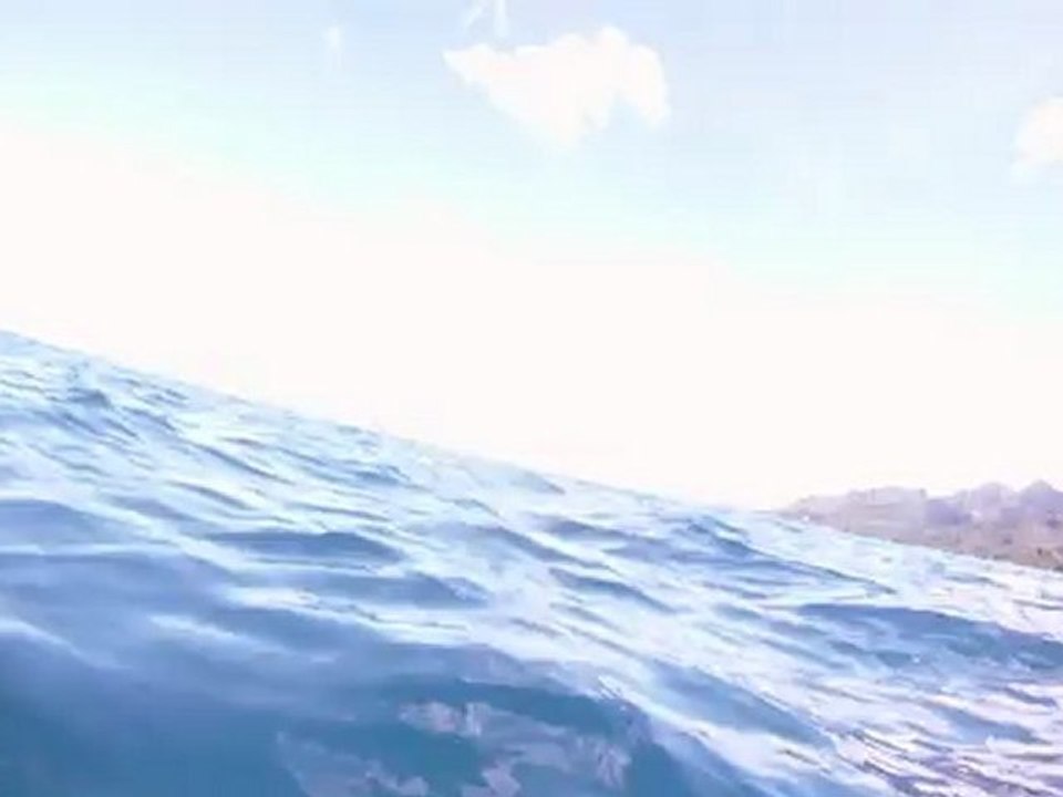 LE SON DES DAUPHINS .....