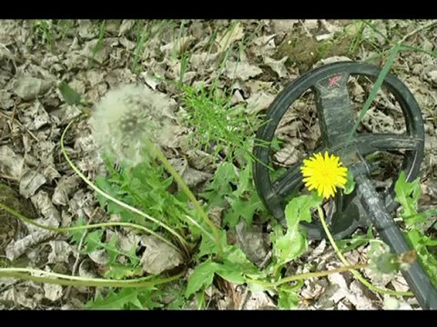 sortie déus et de l'or