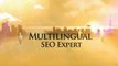 Multilingual SEO Offer For Multilingual Sites