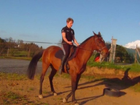 Fouka et Carole - Equitation