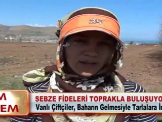 SEBZE FİDELERİ TOPRAKLA BULUŞUYOR 04 05 2012