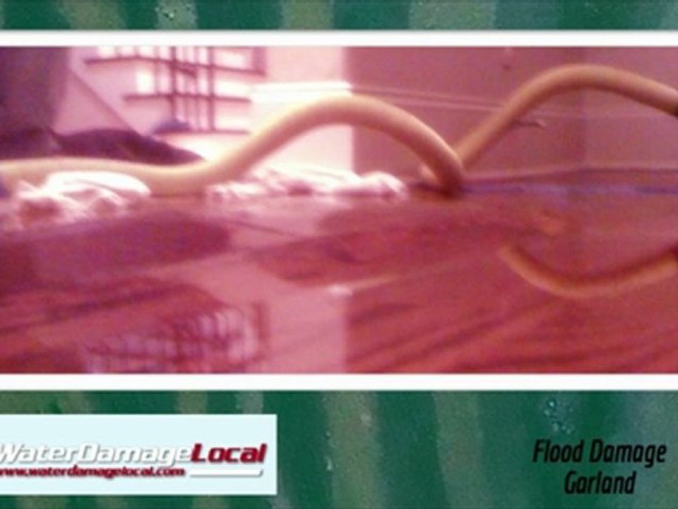 Garland Flood Damage ~ Mold Removal & Prevention