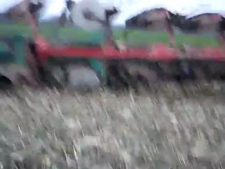 Labour avec un 6495 massey ferguson cher mon maitre de stage