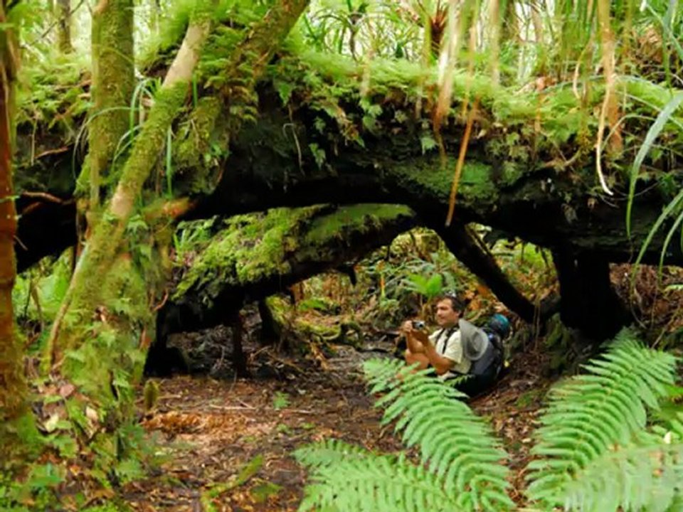 Mt Humboldt, Nouvelle-Calédonie