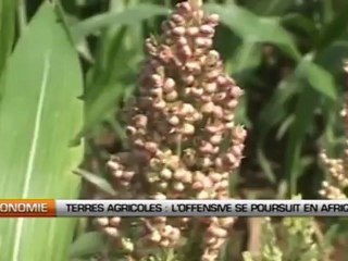Terres agricoles, l’offensive se poursuit en Afrique