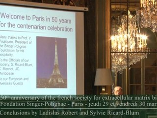 Ladislas Robert and Sylvie Ricard-Blum