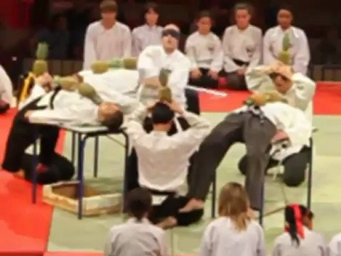 Viet Vu Dao master arts martiaux 2012.flv