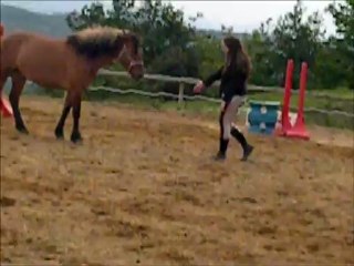Sérénade galop en liberté