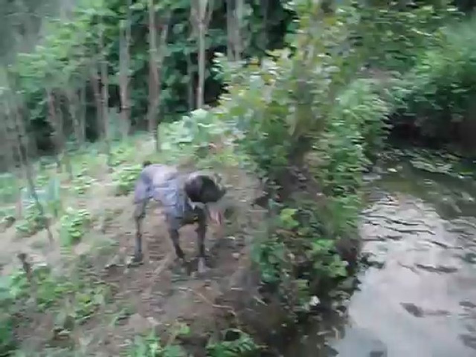 DSCF0561