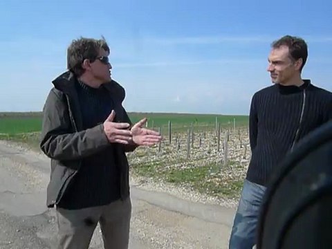 vigneron biologique vin bio : controles