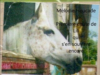 les chevaux une passion ;)