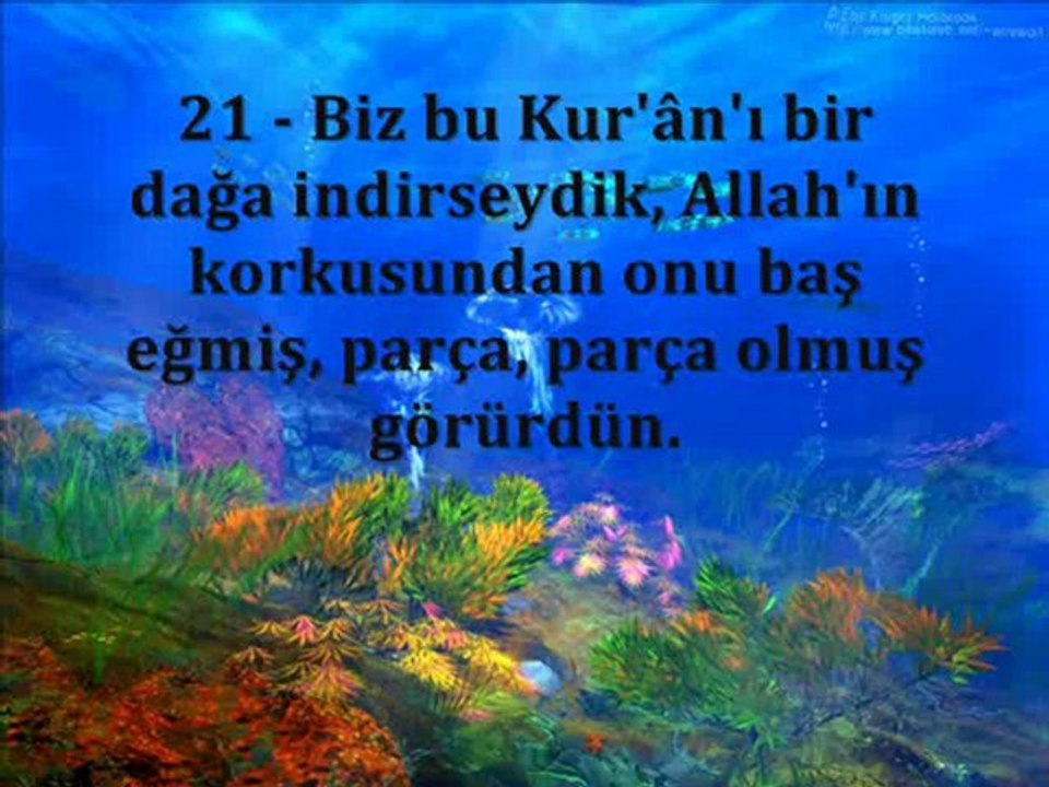 Haşr Suresi Ahmed El Acemi