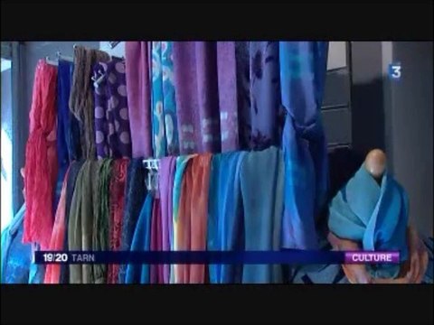 Reportage FR3 Tarn 3