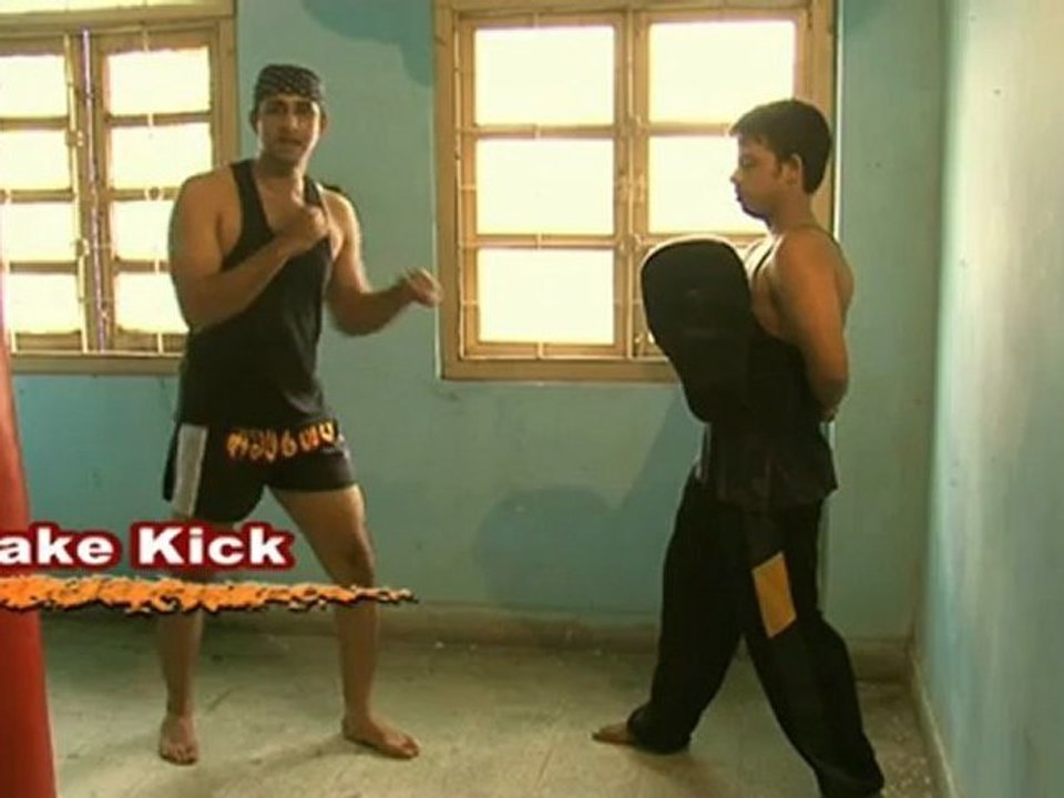 Deadly Art : Fake Kick