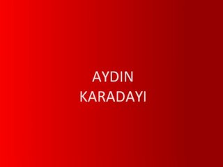 AYDIN KARADAYI.